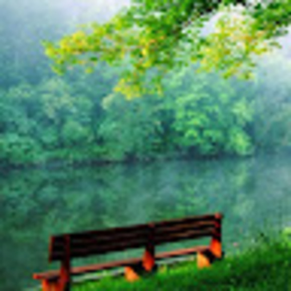 Meet your Posher, Alexandra - Picture 1 of 1